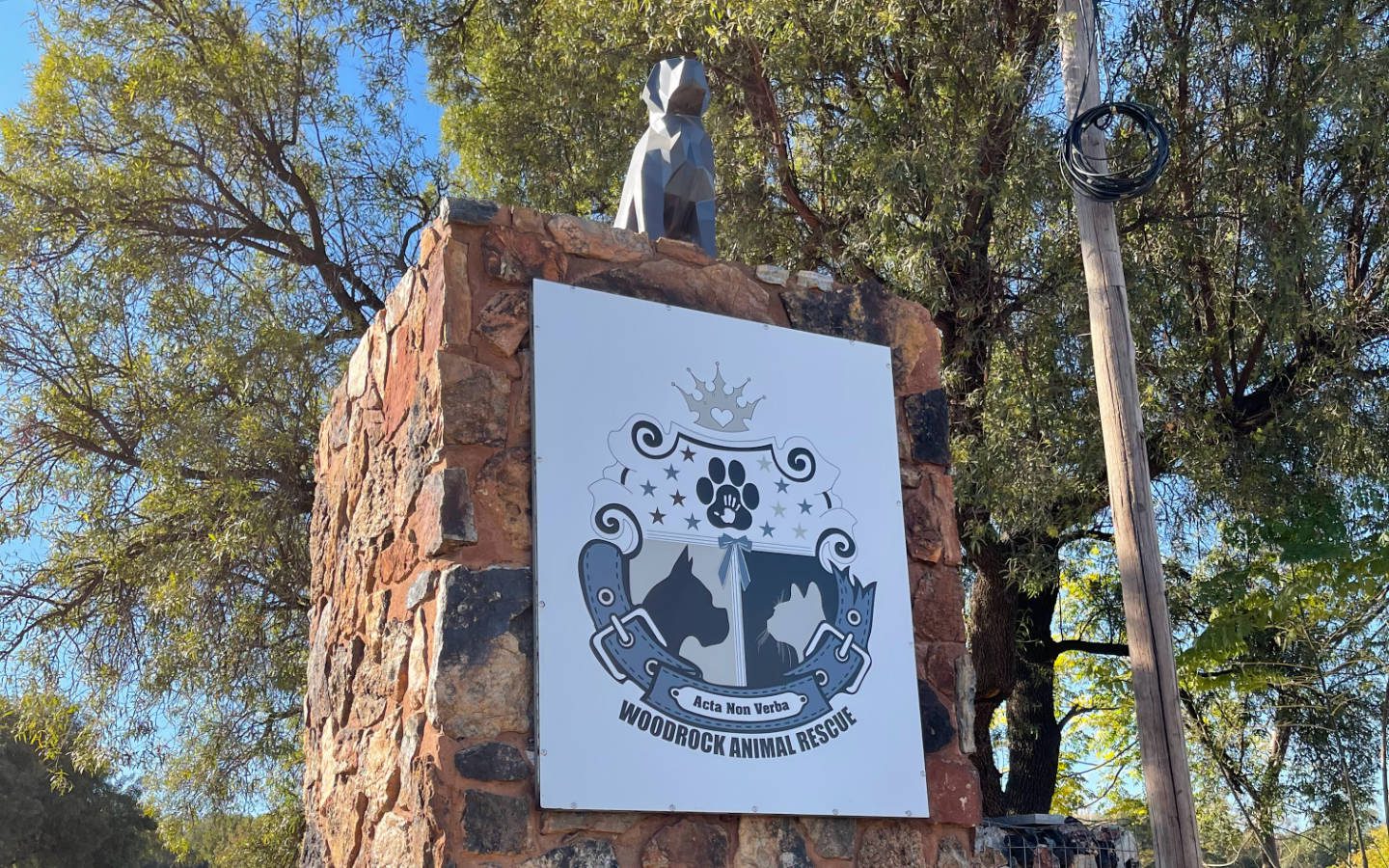 Woodrock Animal Rescue - Relief