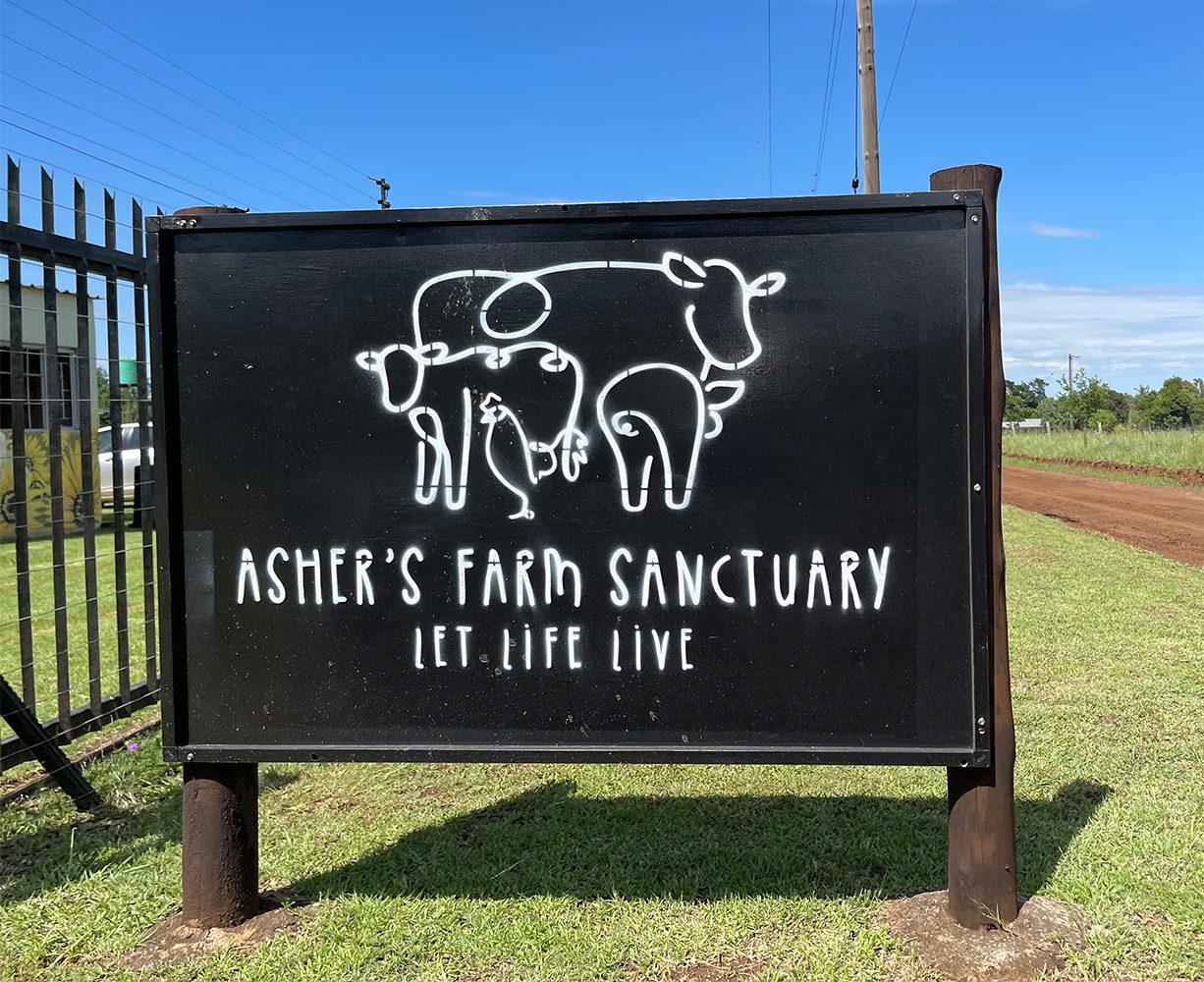 Asher's Farm Sanctuary - Relief